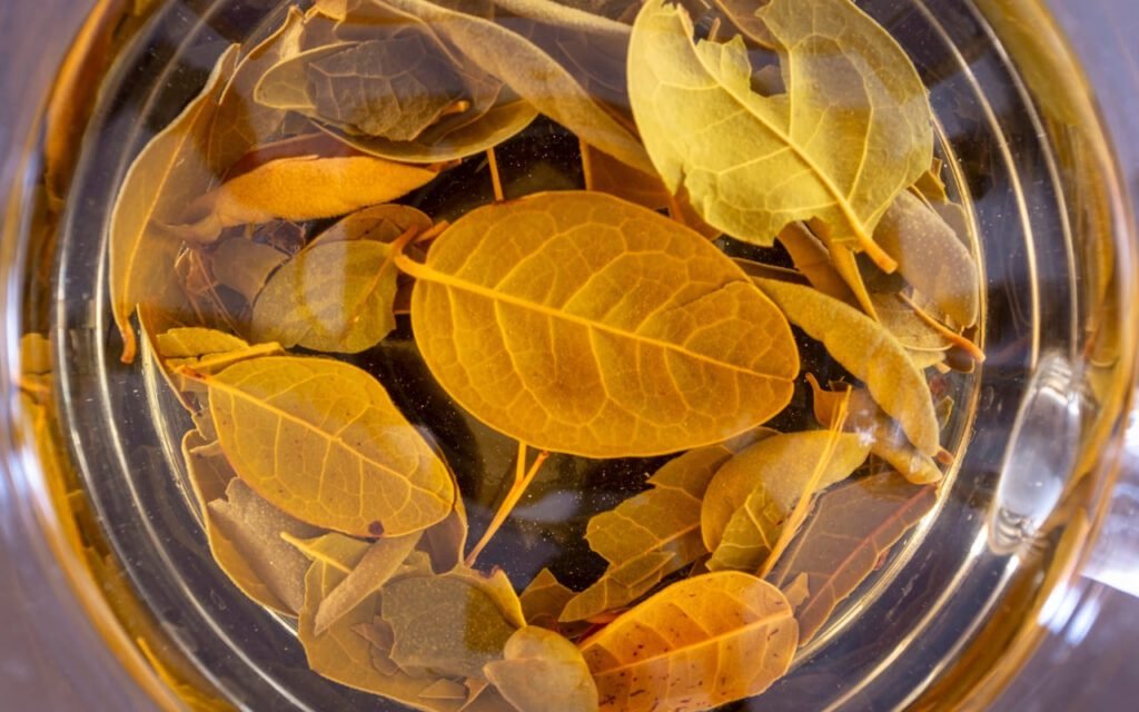 como preparar chá de boldo: folhas e xícara fumegante