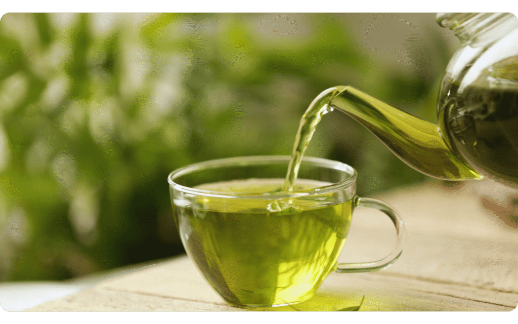 Chá Verde: folhas frescas para proteção celular e potência antioxidante