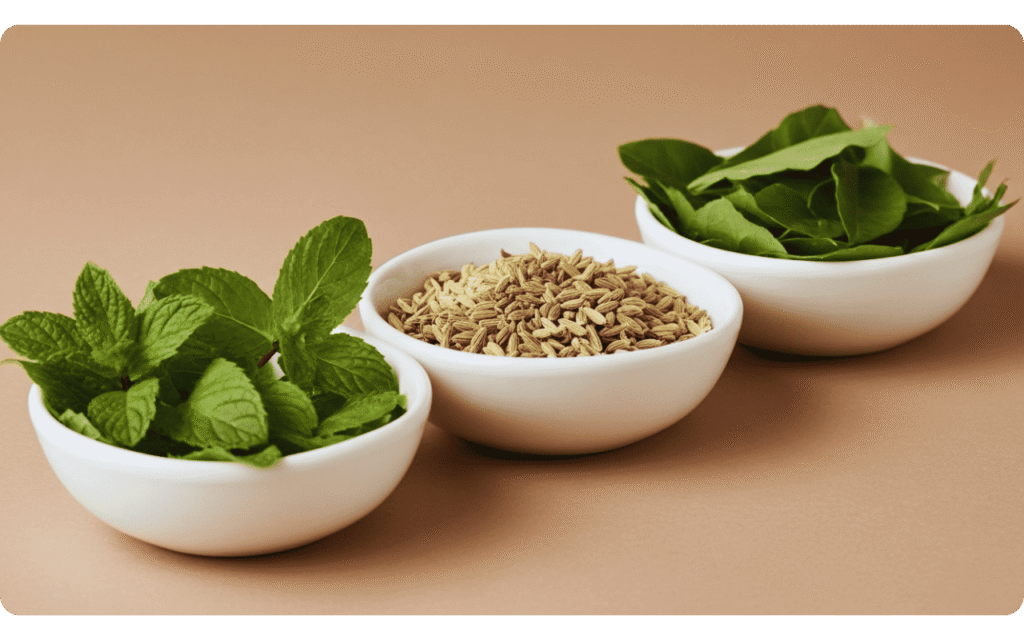 chá digestivo: opções com hortelã, erva-doce e boldo