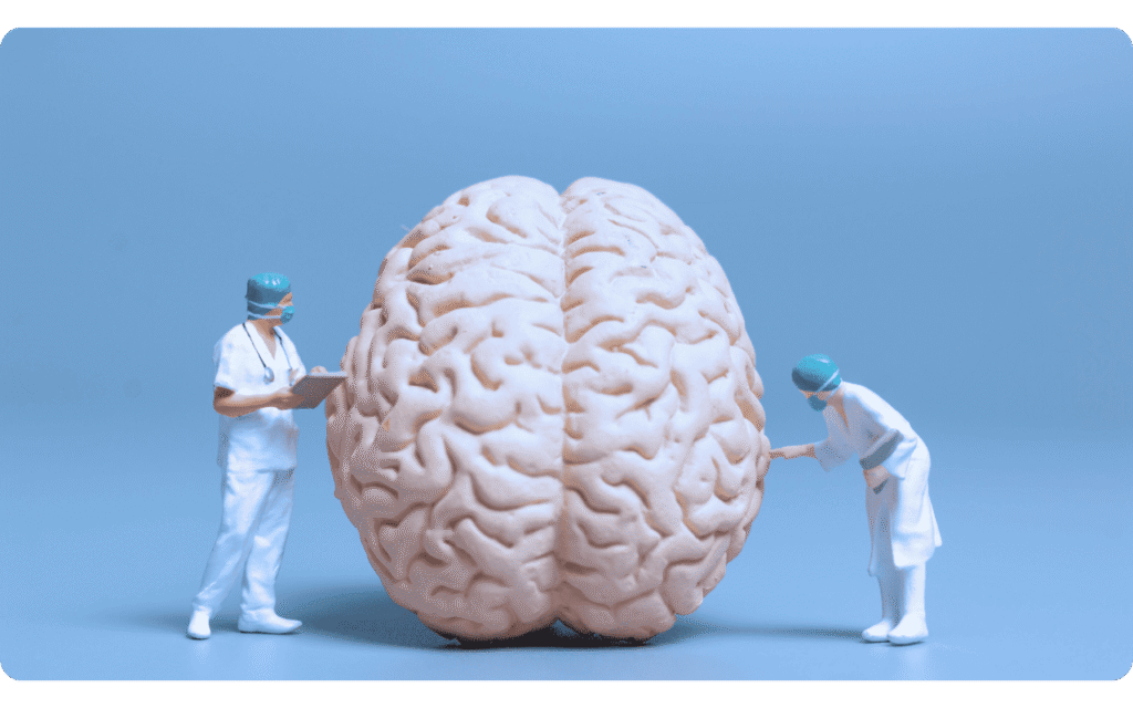 Resveratrol e seus benefícios para o cérebro: efeito antioxidante