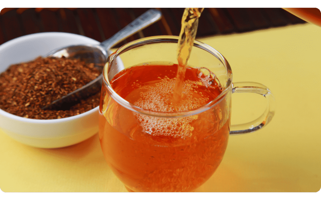 Rooibos: opção calmante e antioxidante