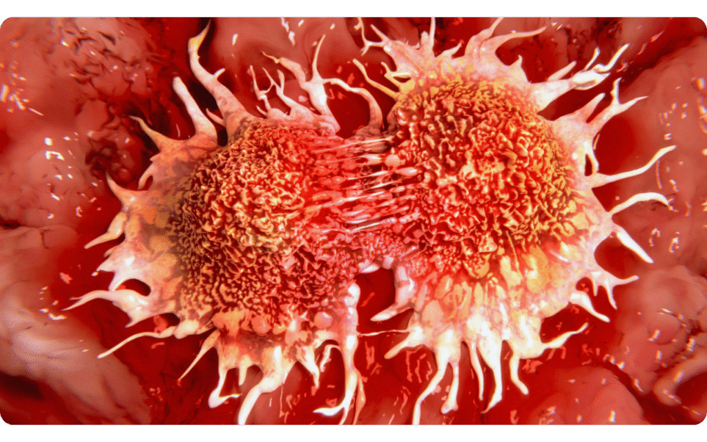 Riscos do consumo excessivo de álcool: impacto na saúde