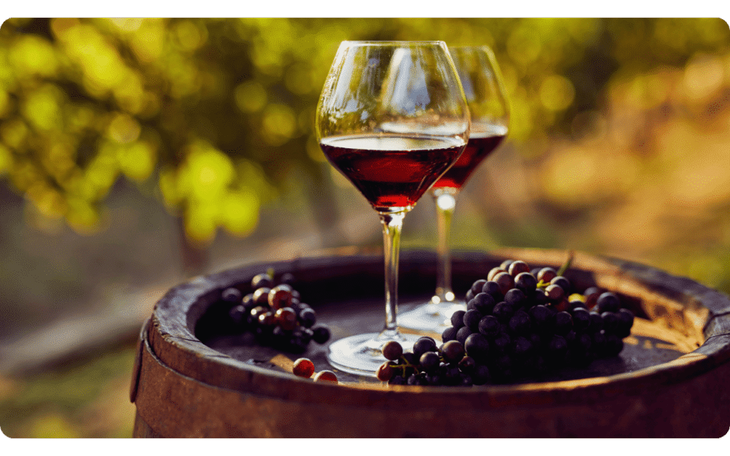 Conclusão: consumo moderado e equilibrado