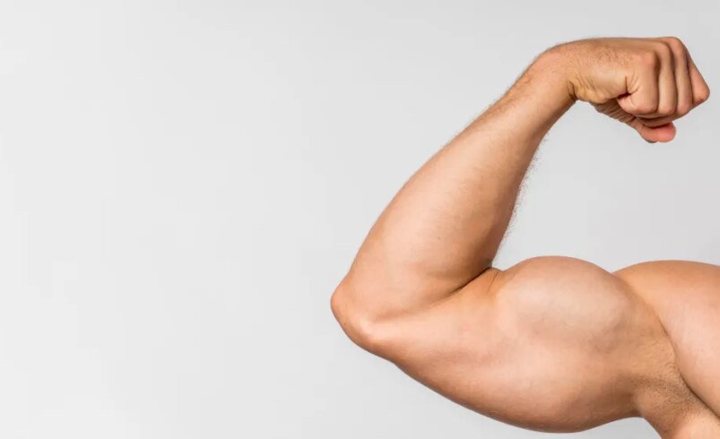 Braço masculino flexionado mostrando músculos definidos, fundo branco.