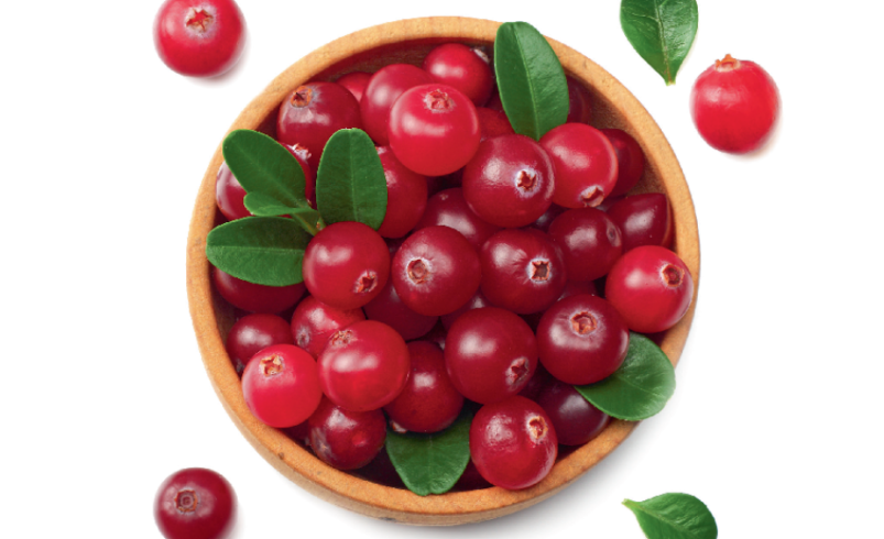 Tigela de madeira com frutas vermelhas brilhantes e folhas verdes.