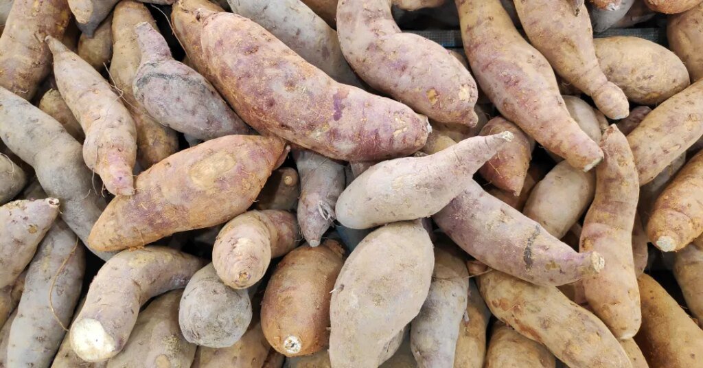 Batatas-doces de diferentes tamanhos e formatos empilhadas.