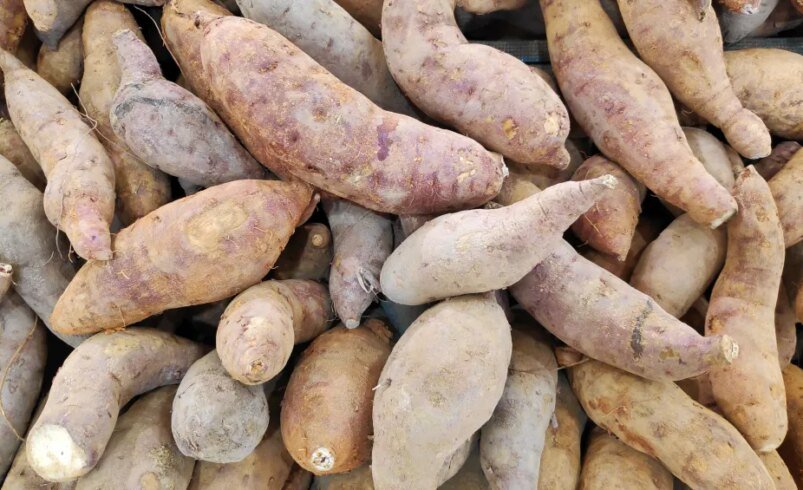 Batatas-doces de diferentes tamanhos e formatos empilhadas.