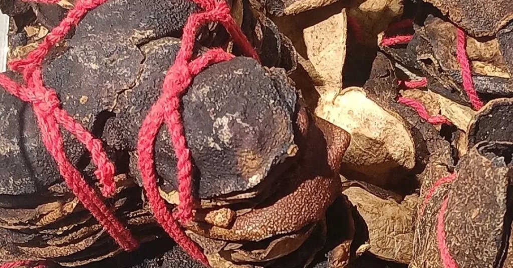 Sementes de cumaru empilhadas e amarradas com barbante vermelho.