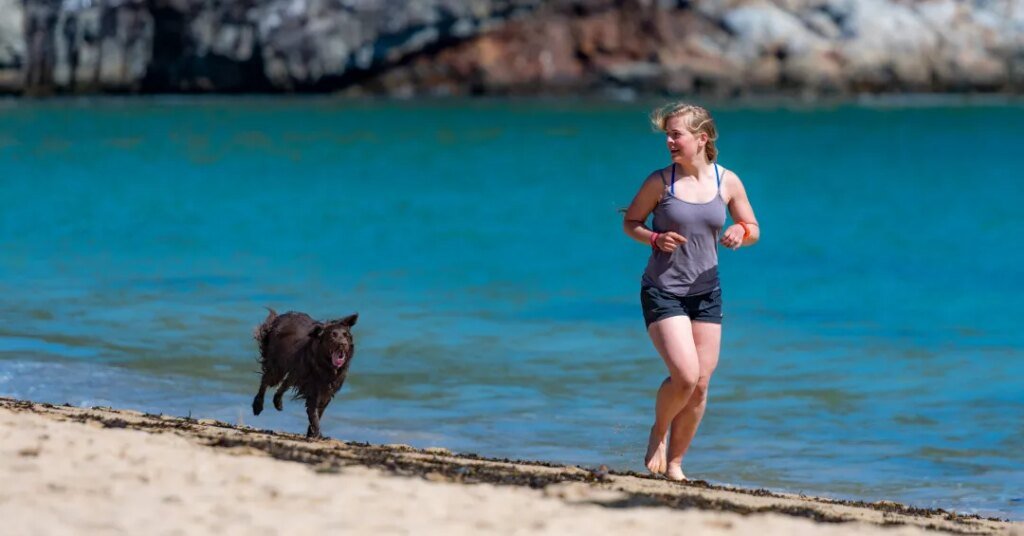 Pessoa correndo ao longo da praia acompanhada por um cão marrom perto do mar azul.