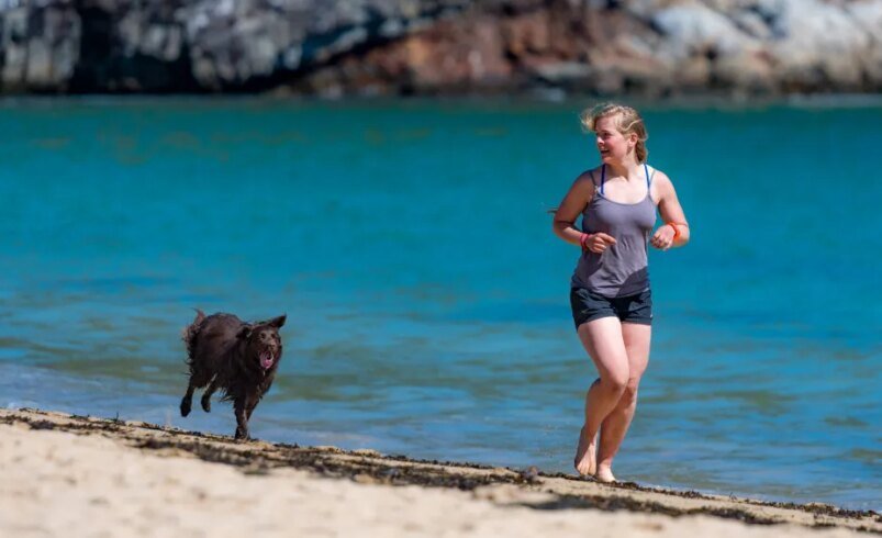 Pessoa correndo ao longo da praia acompanhada por um cão marrom perto do mar azul.