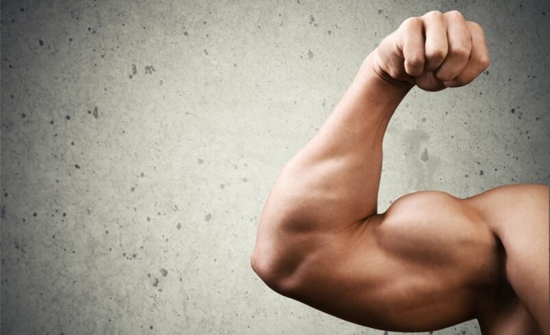 Treino de bíceps: saiba como montar o seu de forma eficiente