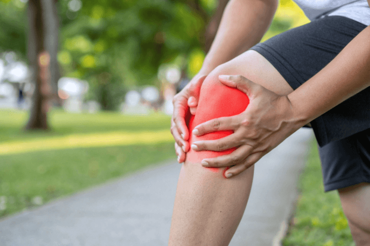 Imagem ilustrativa do conteúdo