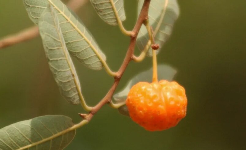 Imagem ilustrativa do conteúdo