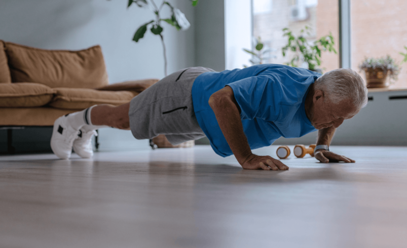 NAD+ e cogumelos reishi