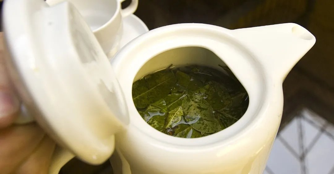 Chá de coca: a bebida dos Andes que ajuda a enfrentar a altitude