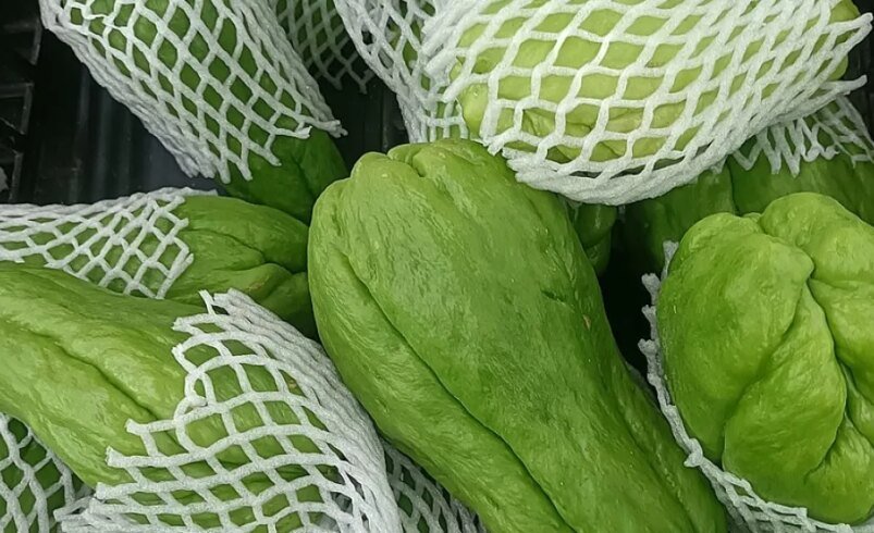 Imagem ilustrativa do conteúdo