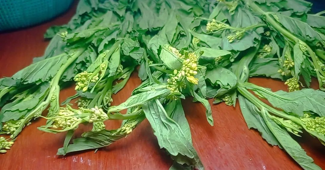 Mostarda-castanha: conheça os benefícios e a melhor forma de consumir