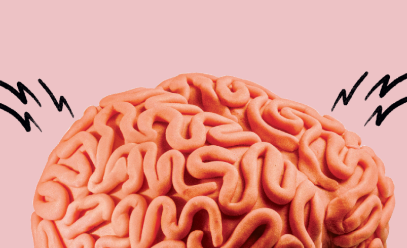 524 mente saudavel cerebro