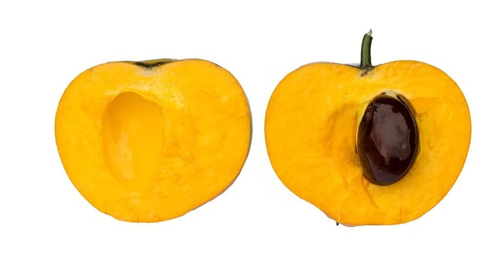 pouteria campechiana fruta ovo canistel