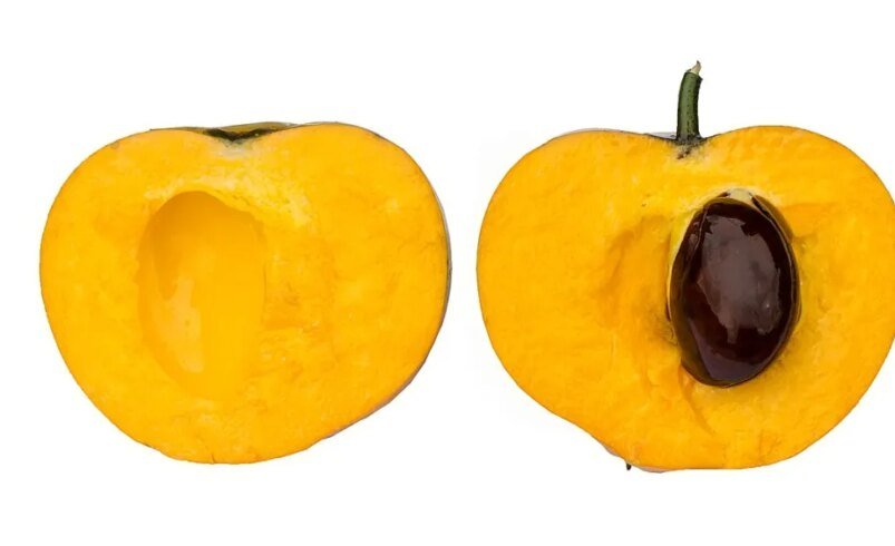 pouteria campechiana fruta ovo canistel