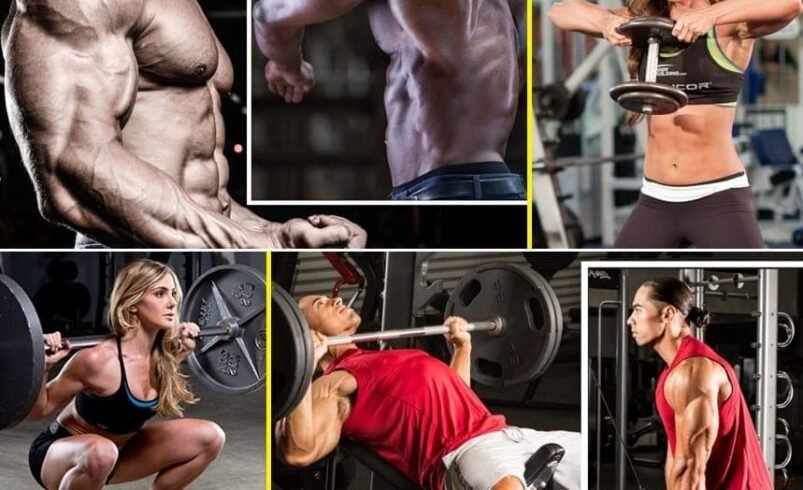 Rotina de Treino ABC