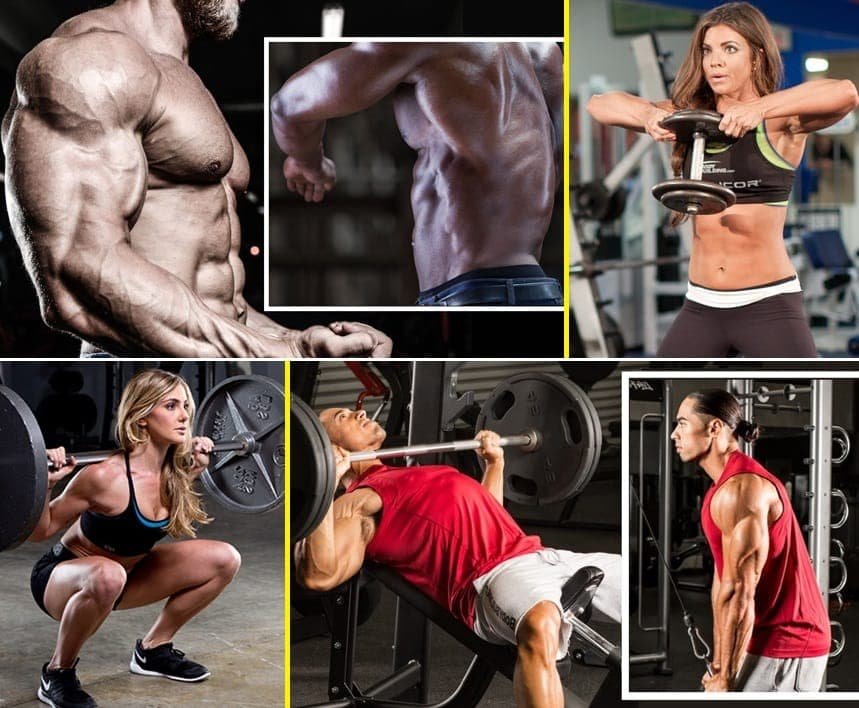 Treino ABC – Guia completo para Treino ABC (Para Avançados)